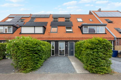 Veenwortel thumbnail
