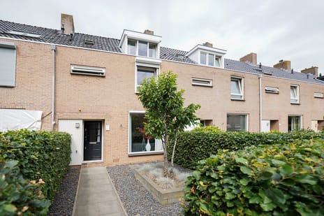 Tollensstraat thumbnail