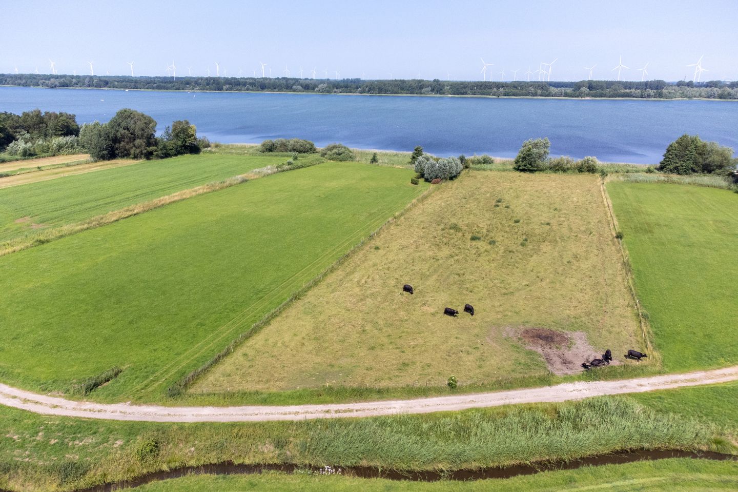 Bekijk foto 3 van Oude Zeeweg