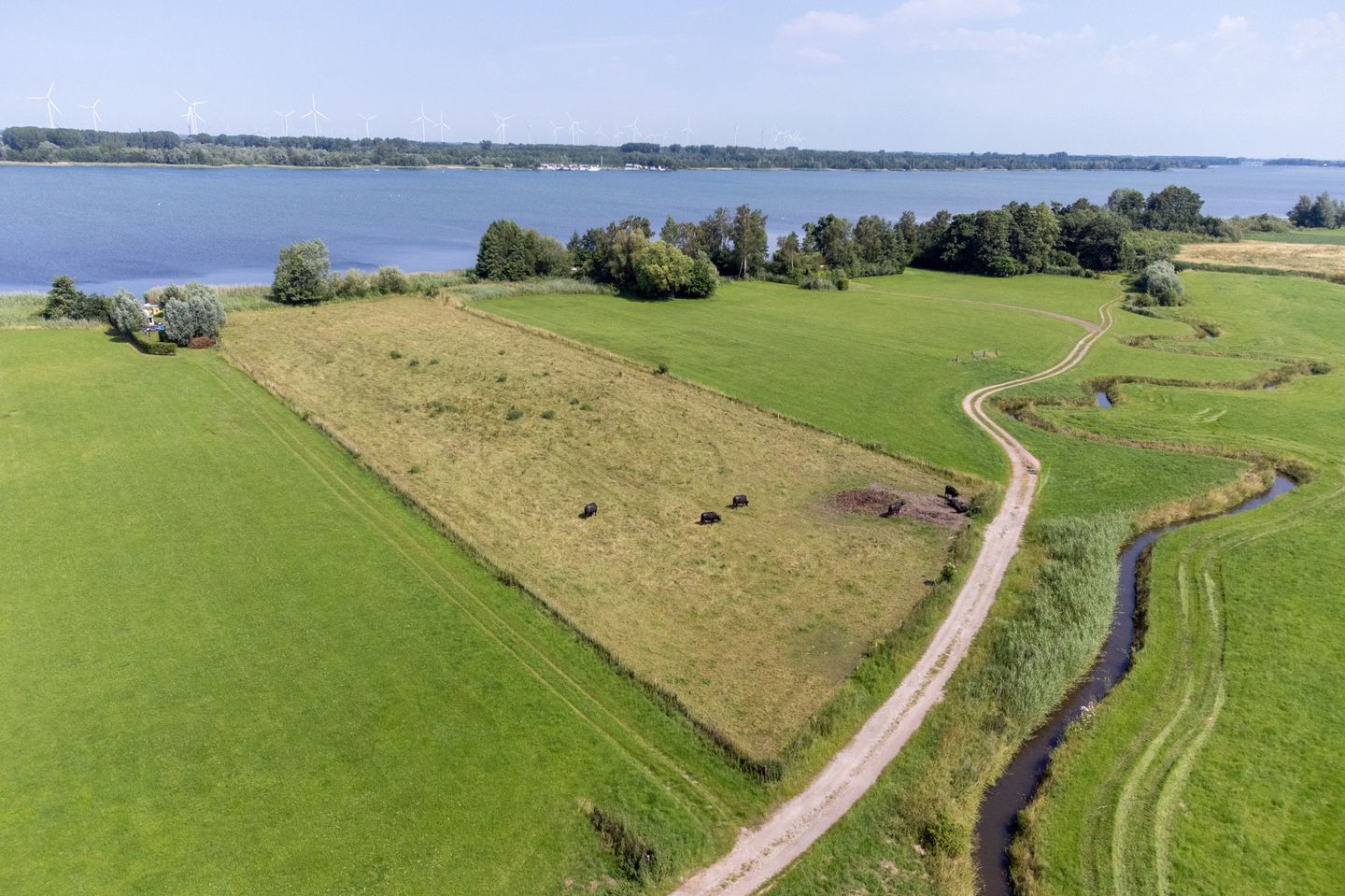 Bekijk foto 2 van Oude Zeeweg