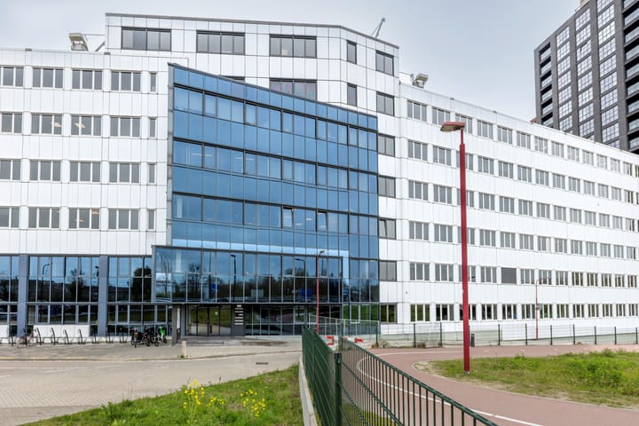 Zoomstede 13