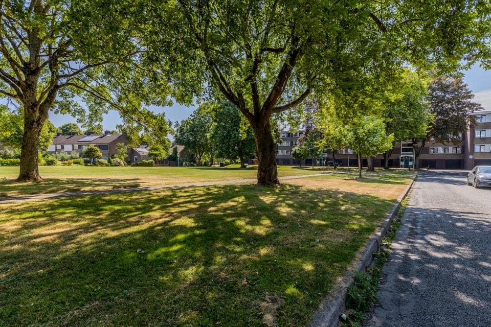 Photo 22 of Riemdonk 11-C