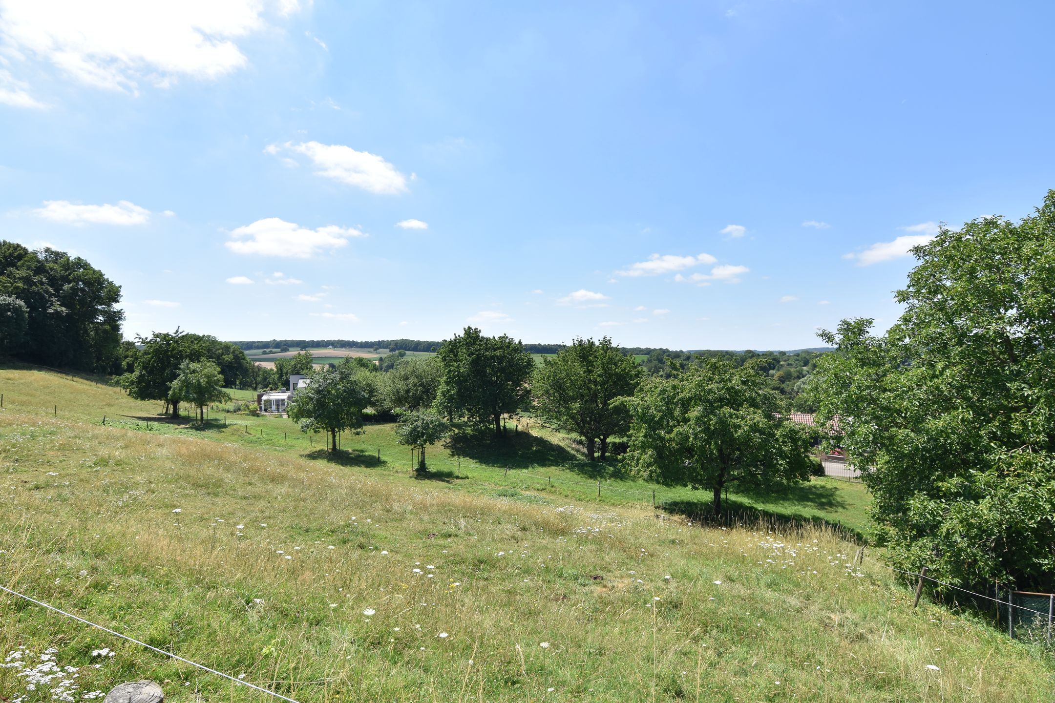 Photo 3 of Vijlenberg 147