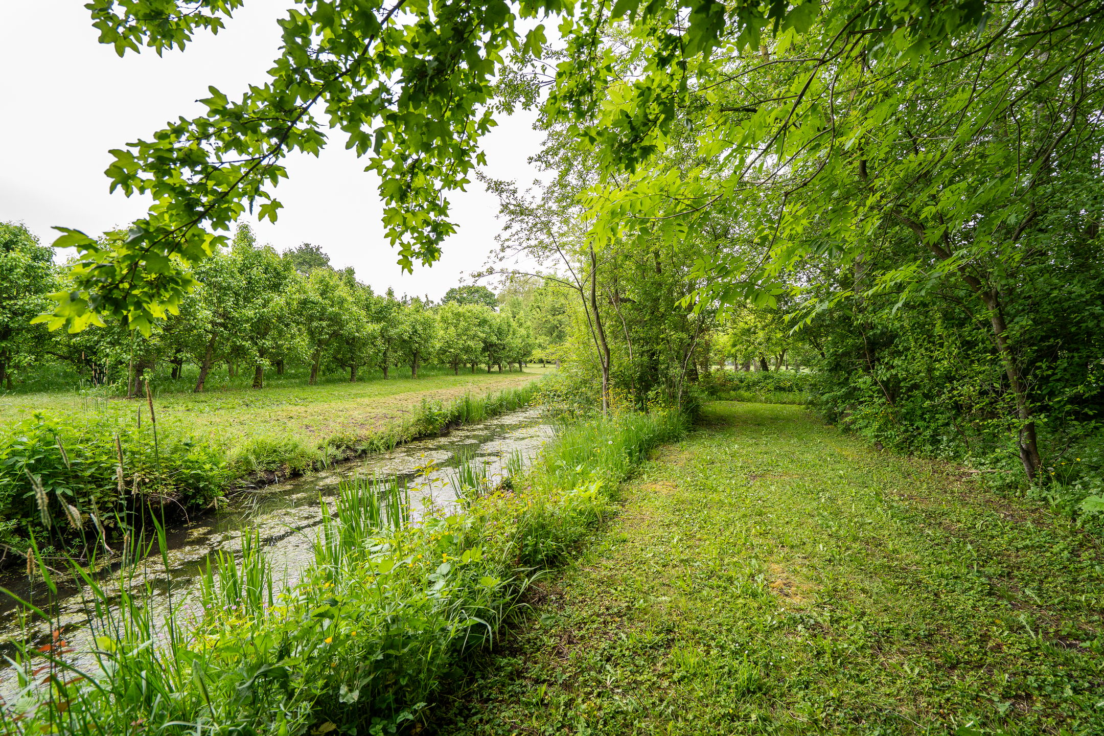 Foto 45 van Benedeneindseweg 21
