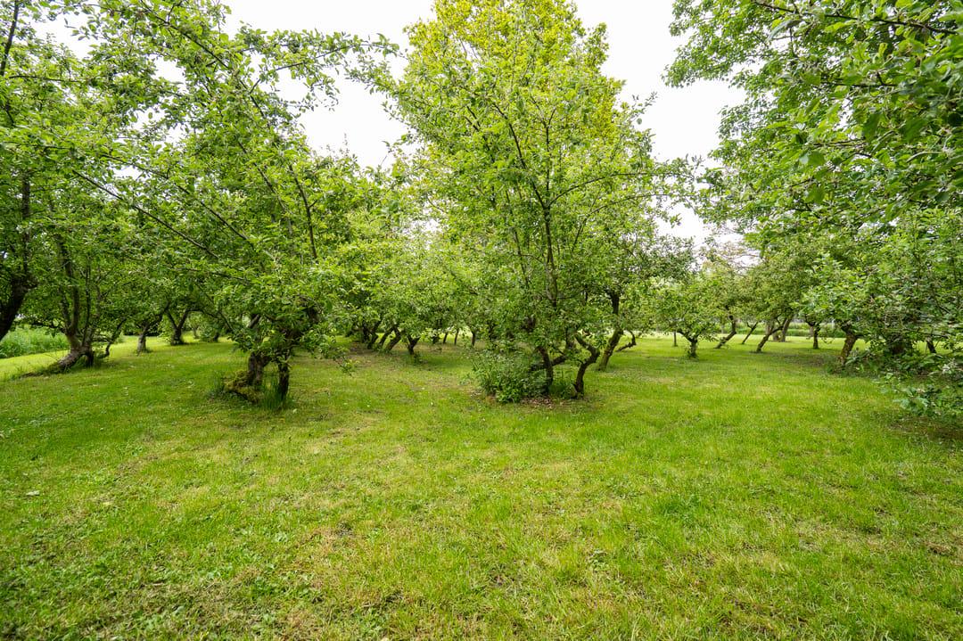 Foto 47 van Benedeneindseweg 21