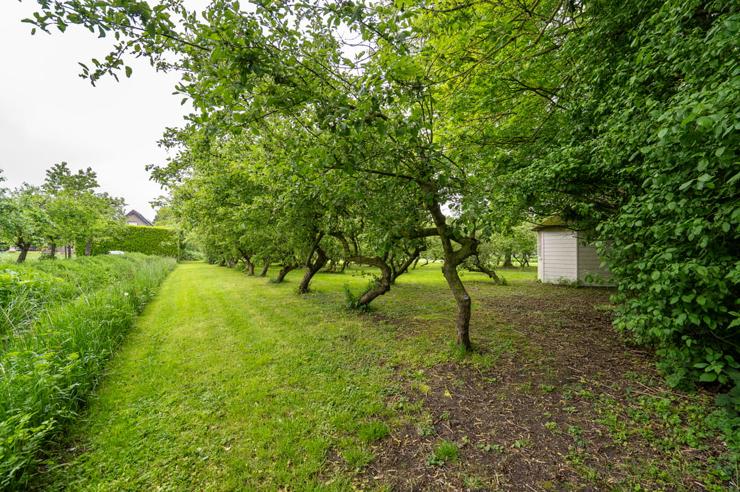 Foto 46 van Benedeneindseweg 21