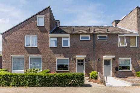Koekoeksbloem thumbnail
