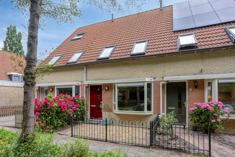 Darja Collinstraat thumbnail