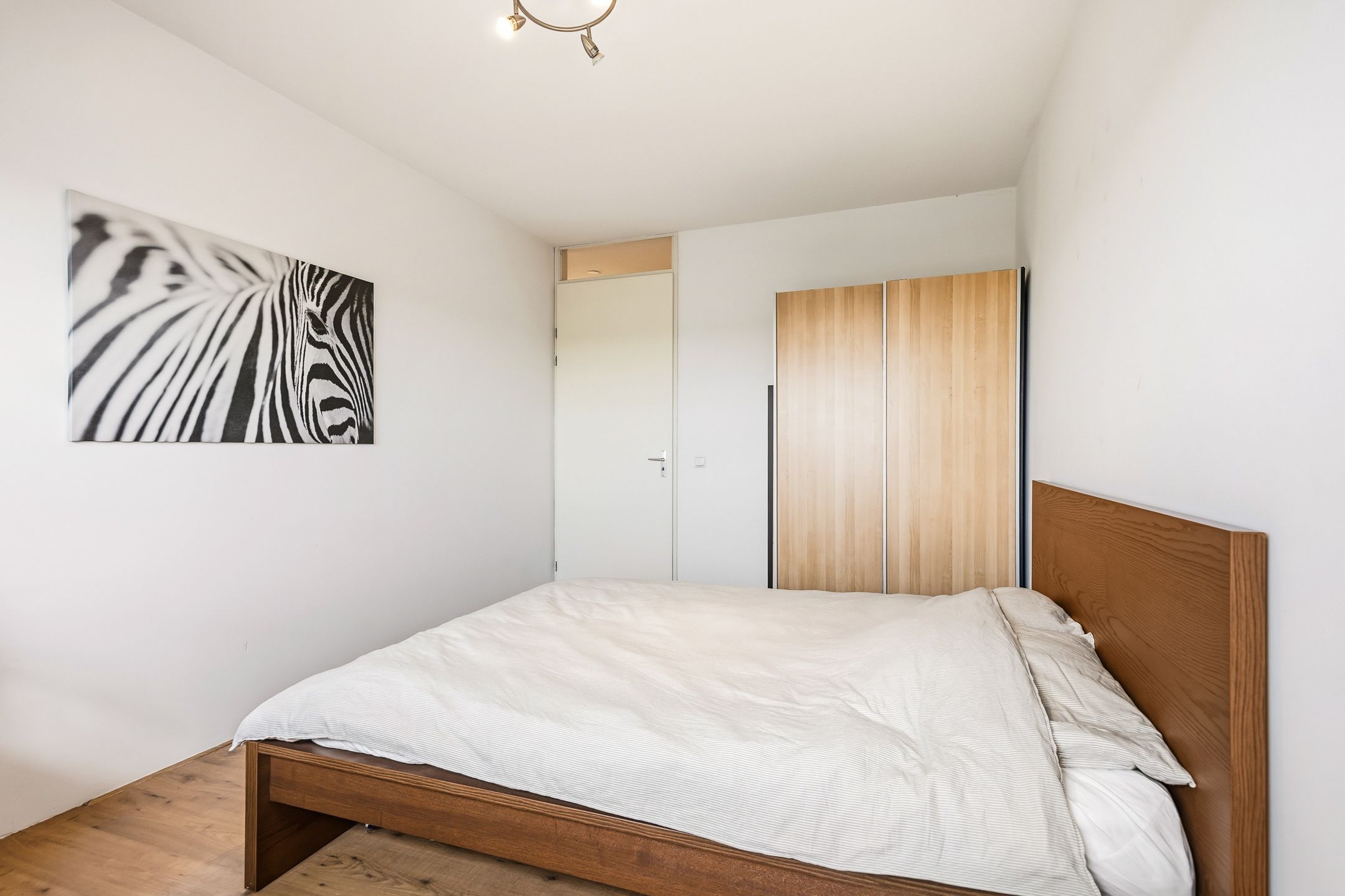 Photo 9 of Anna Blamansingel 228