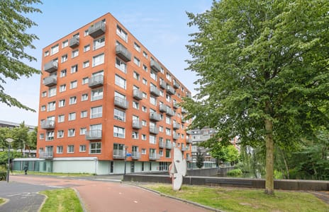 Anna Blamansingel thumbnail