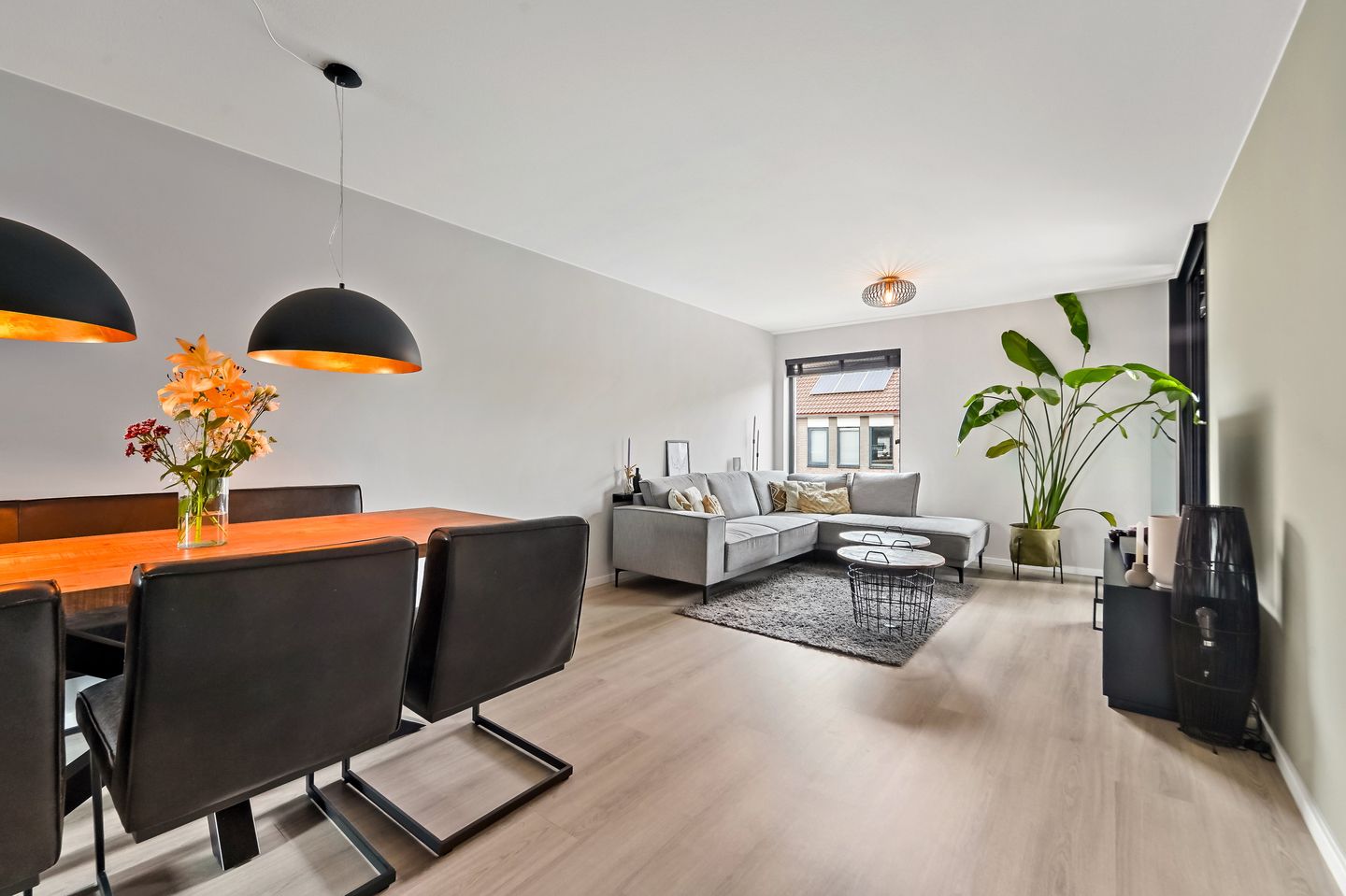 Foto 1 van Fluitekruid 14