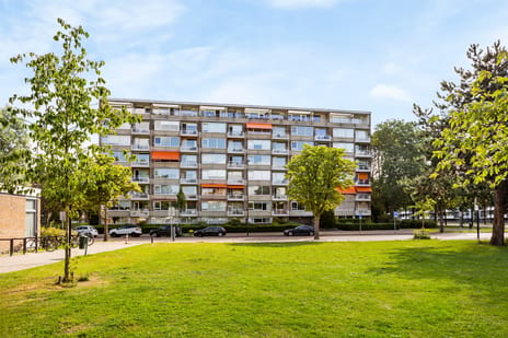 Steenvoordelaan thumbnail