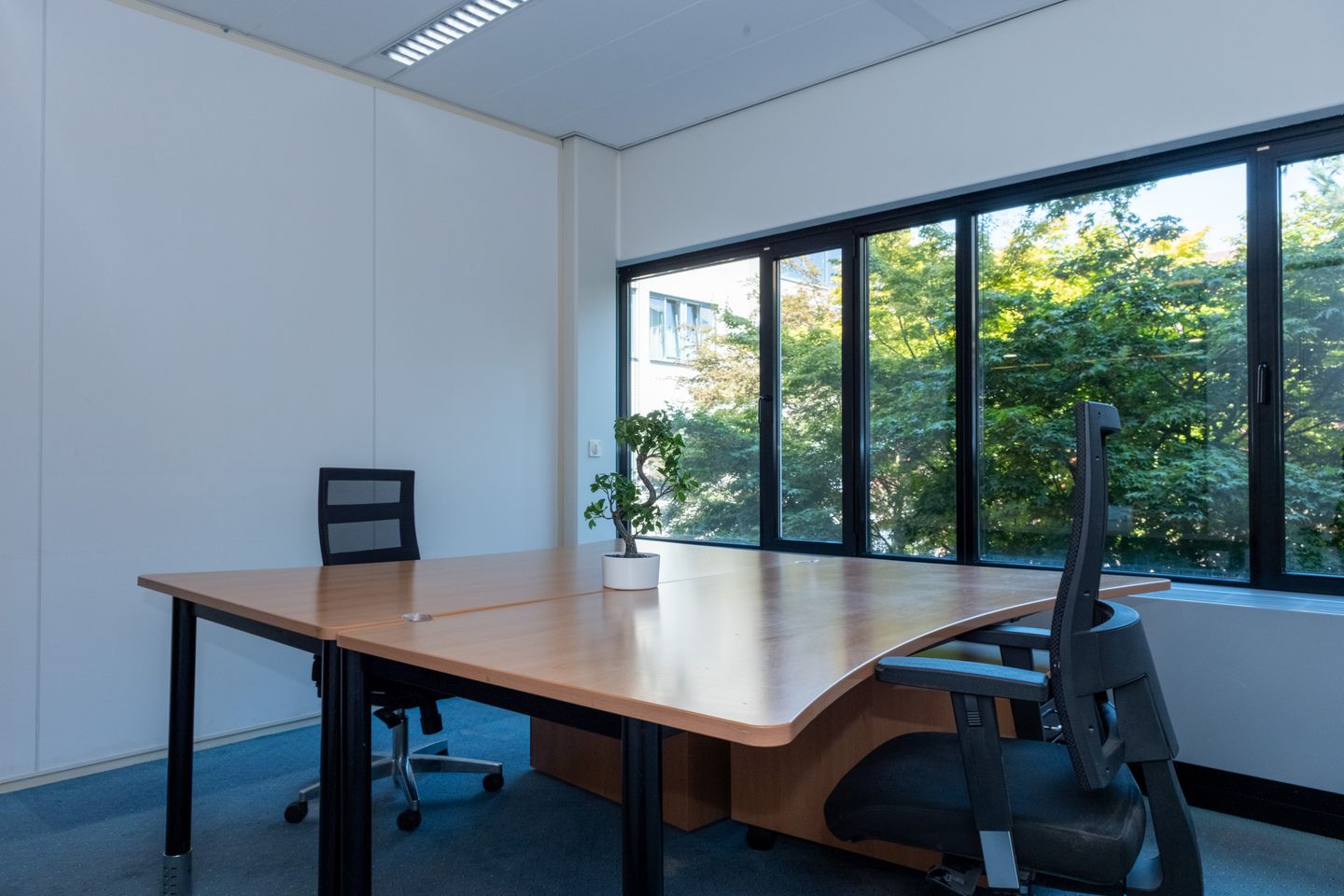 View photo 3 of Rentmeesterstraat 42