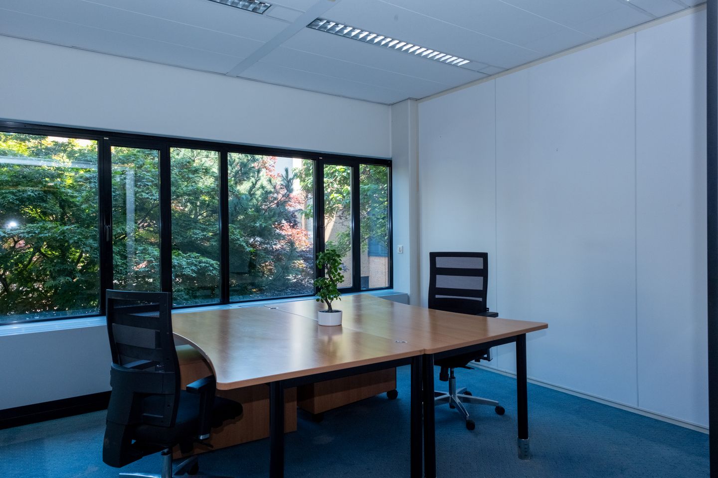 View photo 2 of Rentmeesterstraat 42