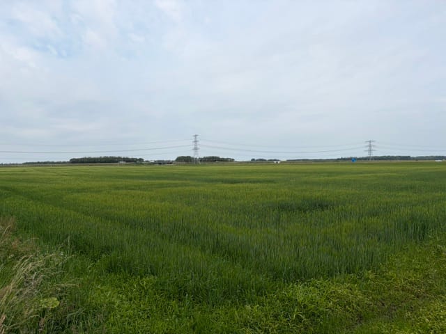 Bekijk foto 2 van Slenerweg