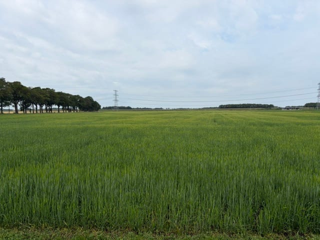 Slenerweg