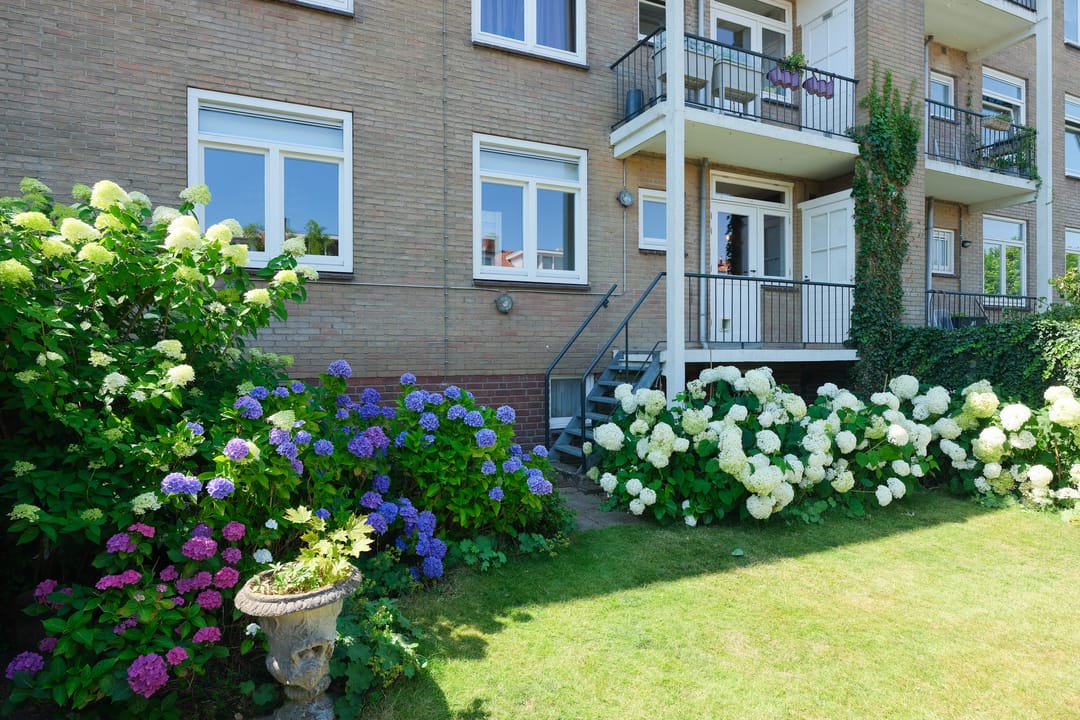 Photo 22 of Diependaalselaan 442