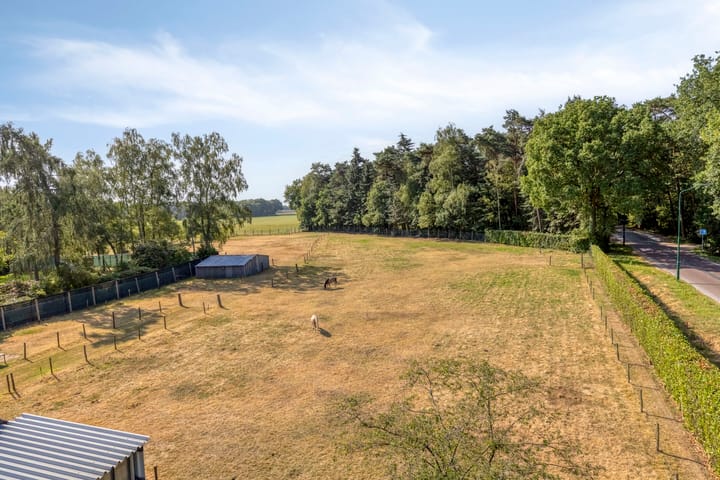 Photo 3 of Bisschop Rythoviusdreef 8