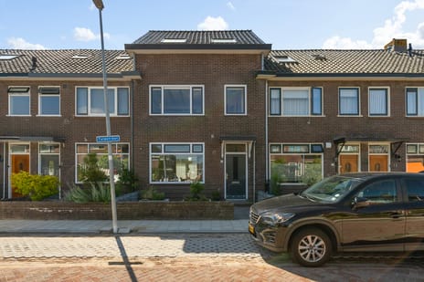 Tulpstraat thumbnail