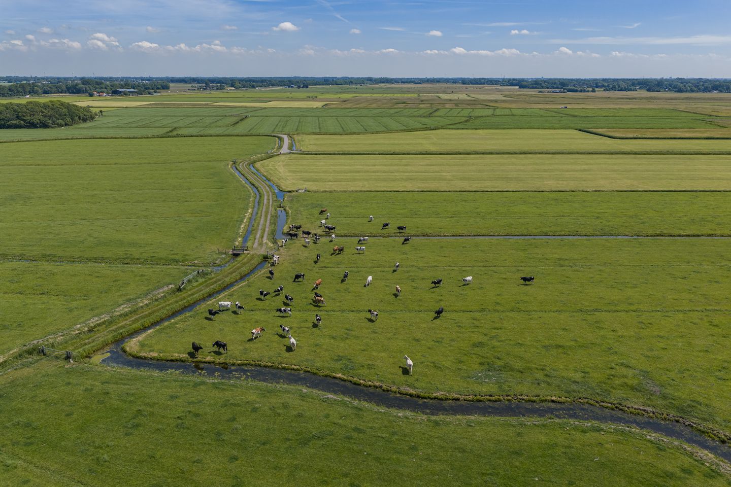 Hogenweg & Nieuweweg - Schoorl - Afbeelding 5