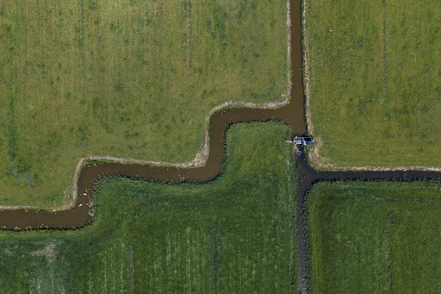 Hogenweg & Nieuweweg - Schoorl - Afbeelding 7