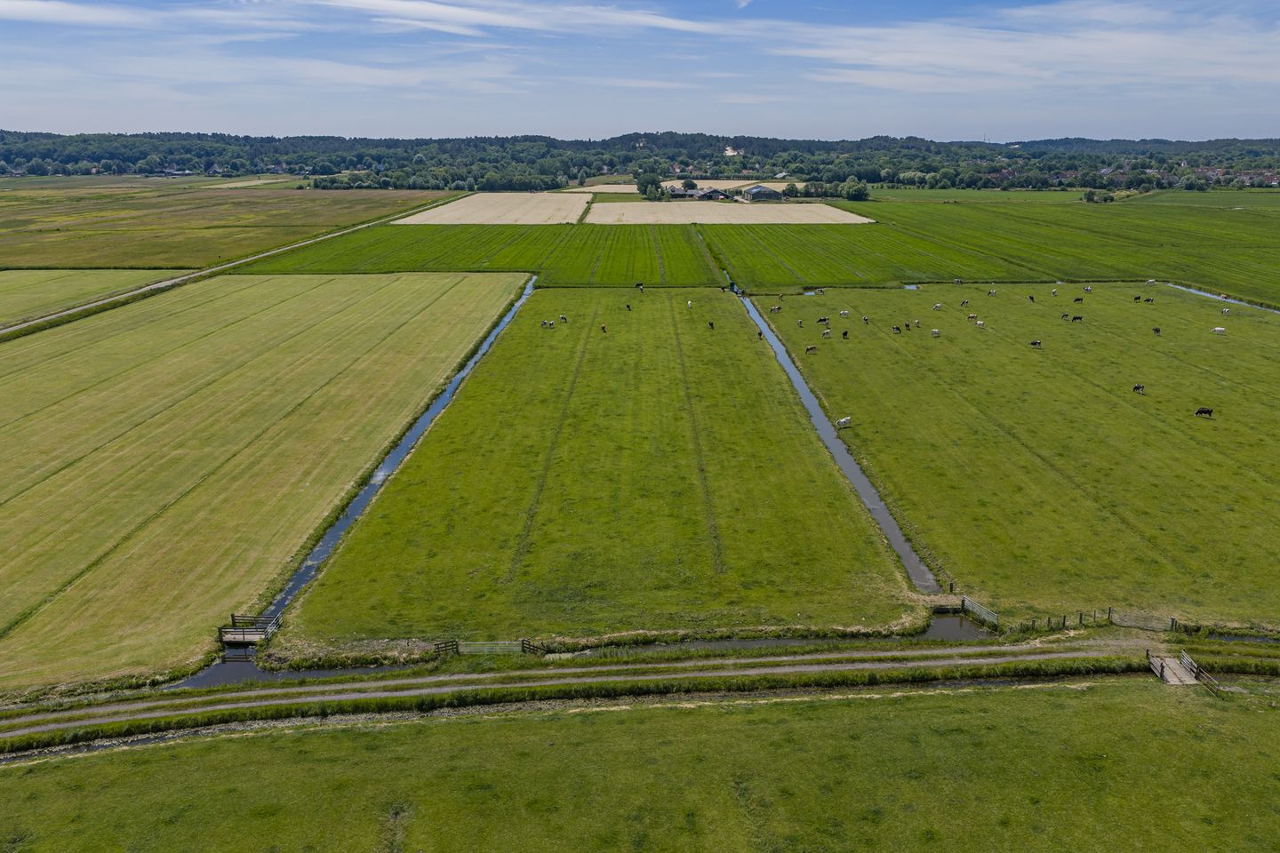 Hogenweg & Nieuweweg - Schoorl - Afbeelding 6