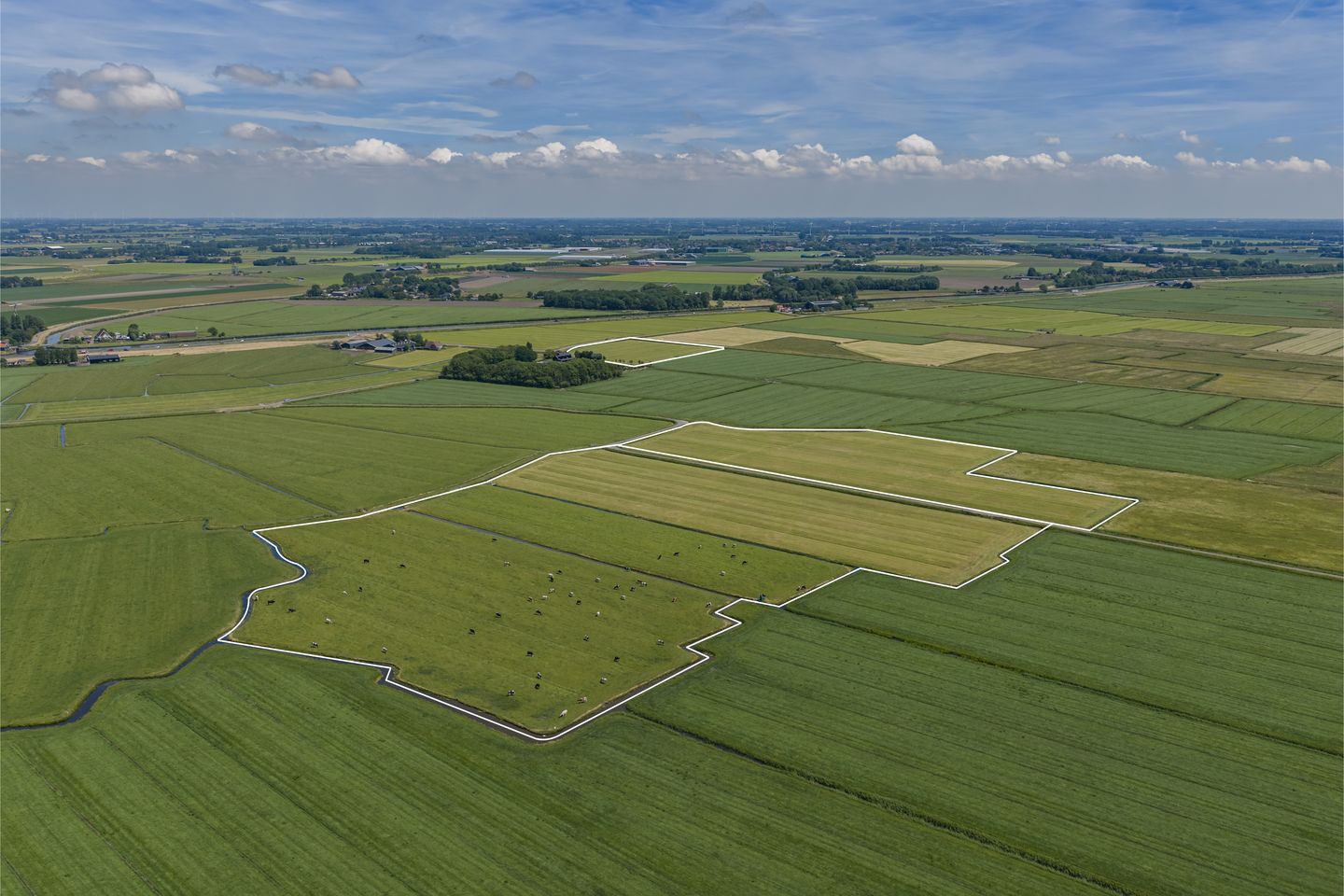 Hogenweg & Nieuweweg - Schoorl - Afbeelding 1
