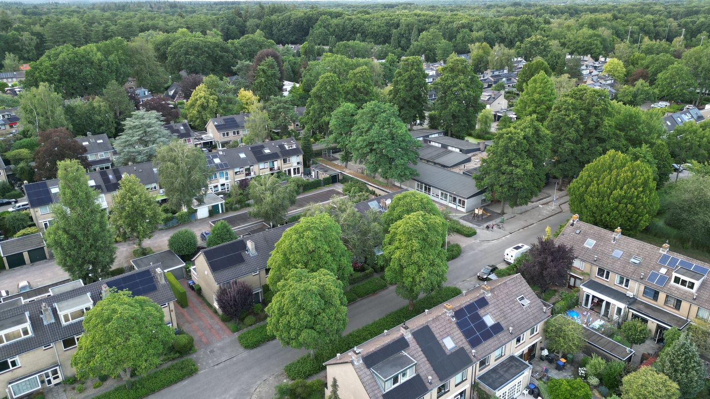 Foto 40 van Driespronglaan 29