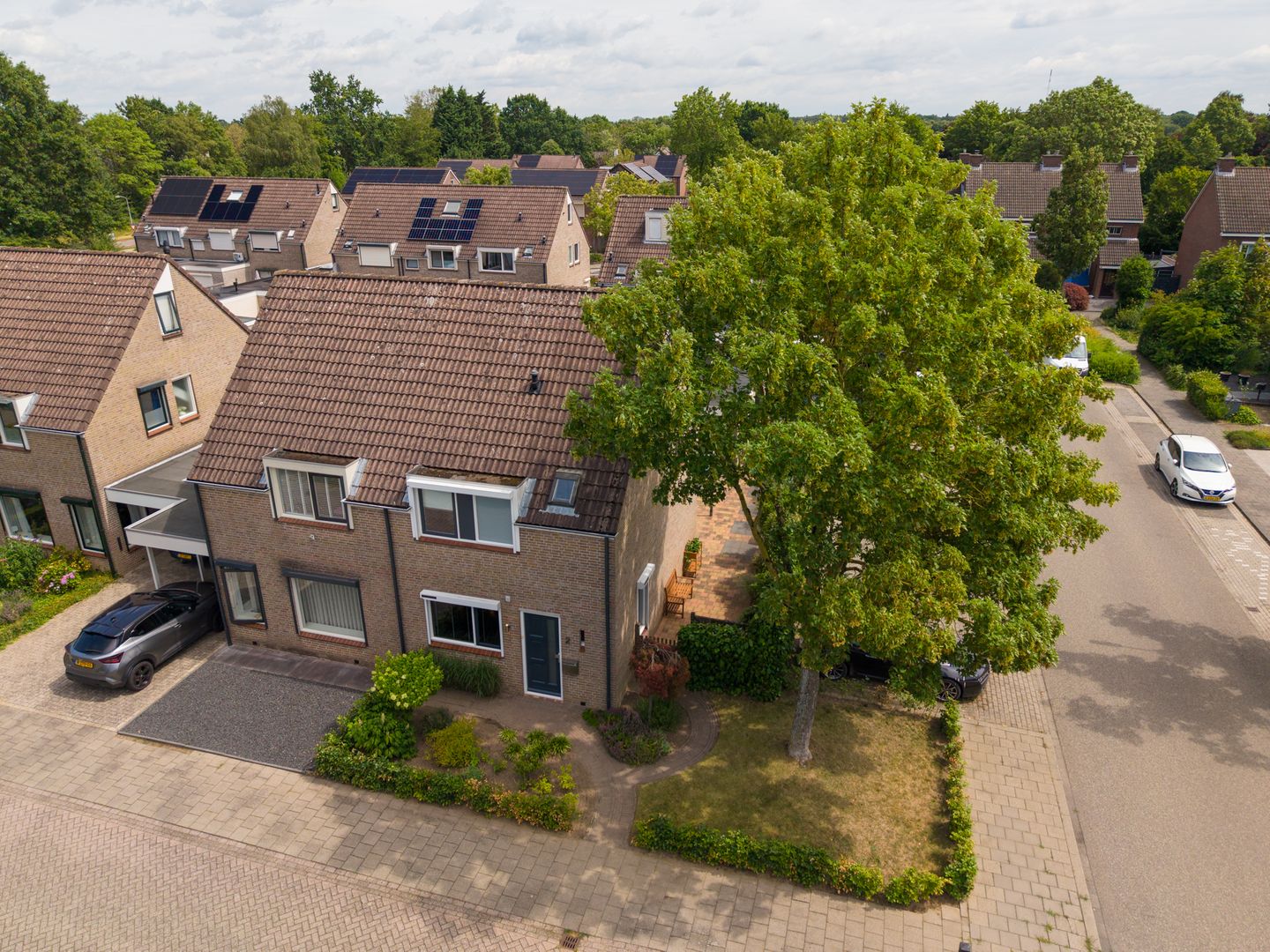 Foto 1 van Valeriaan 2