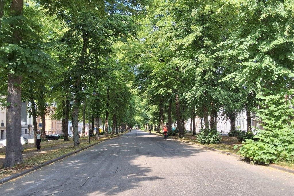 Photo 18 of Maliebaan 53-X