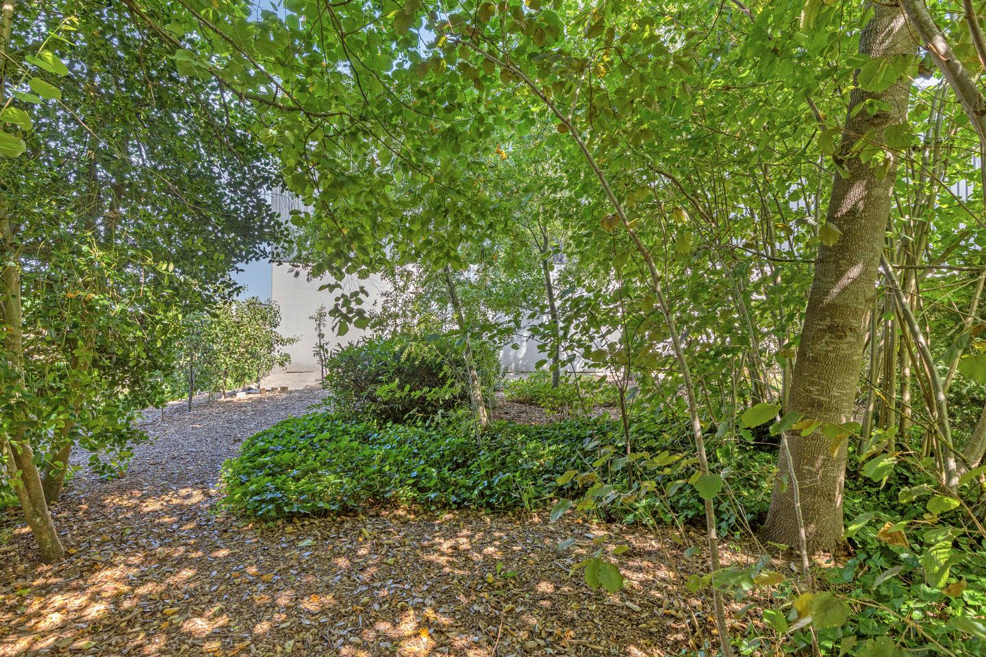Photo 44 of Kleine Broekstraat 66