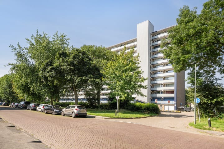 Holysingel 226