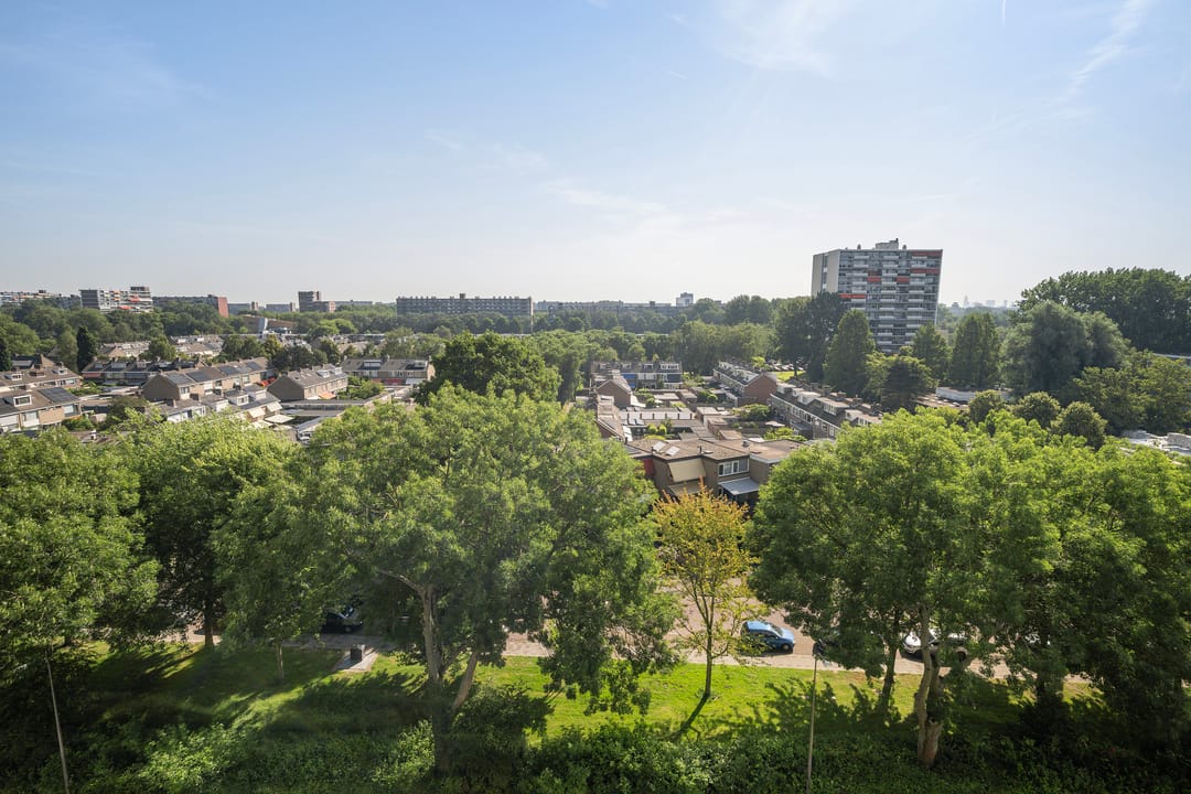 Foto 8 van Holysingel 226