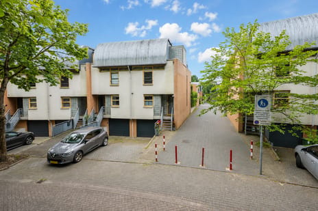 Esdoorn thumbnail
