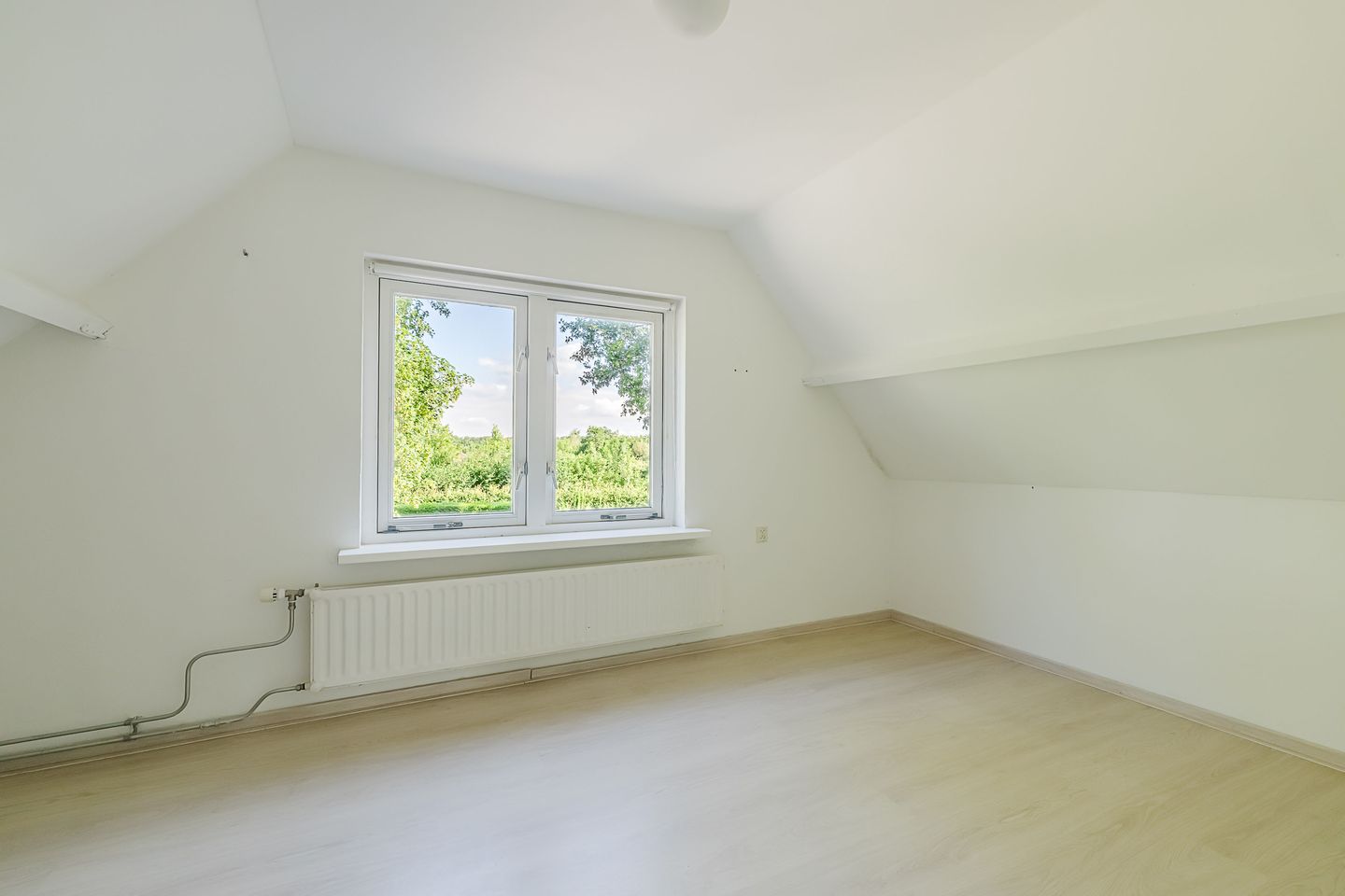 Photo 35 of Zwart Moerken 2