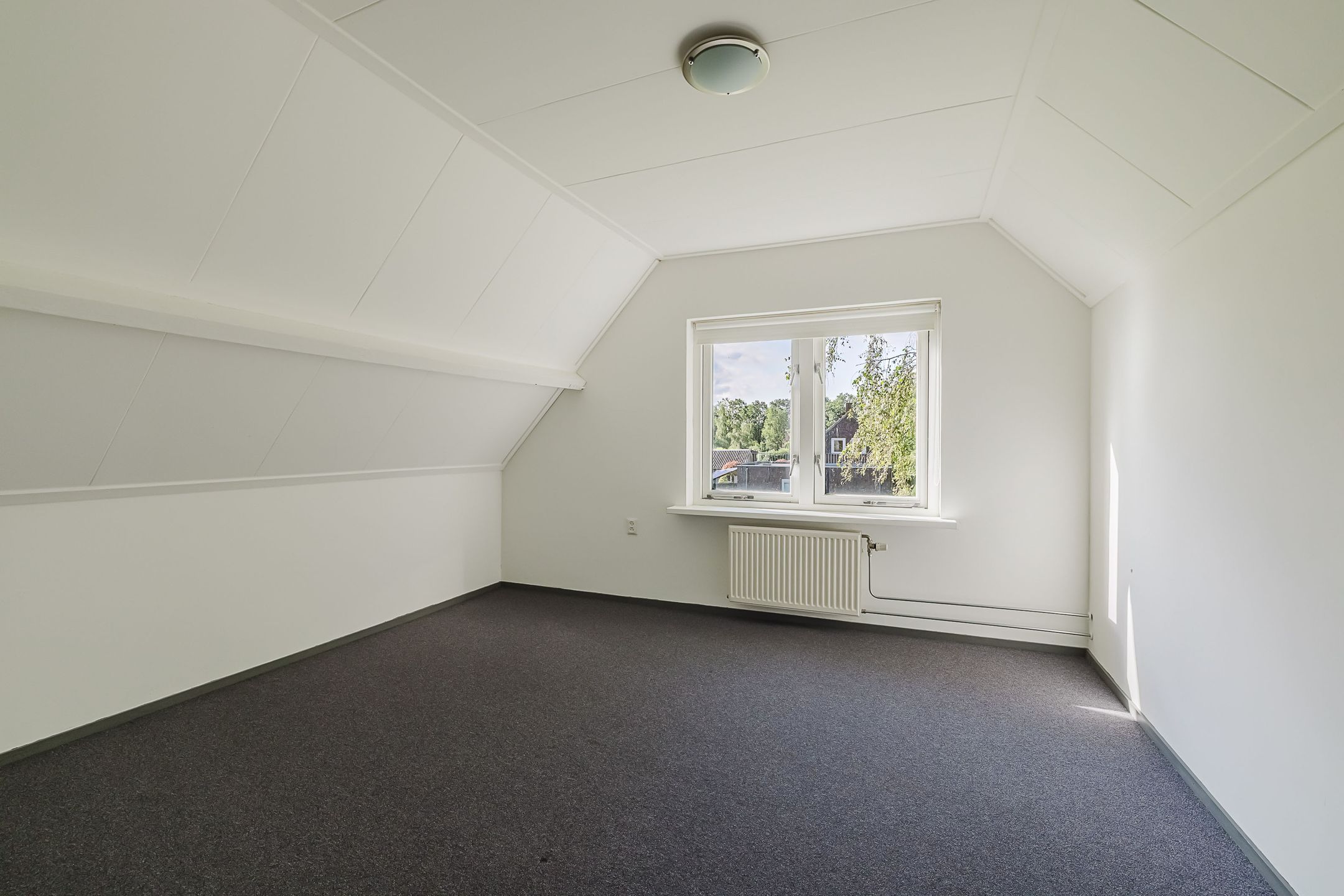 Photo 33 of Zwart Moerken 2