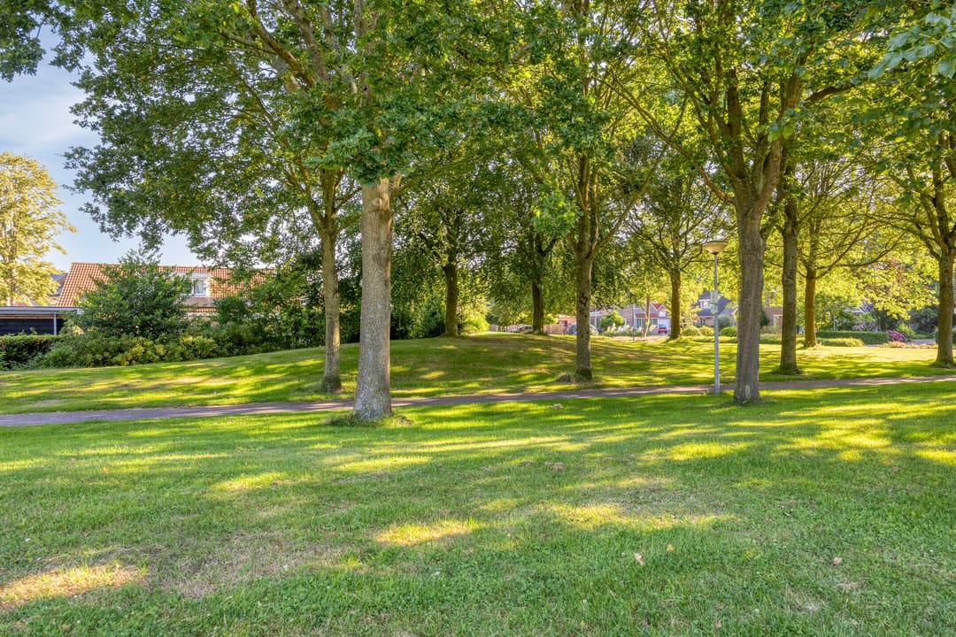 Photo 71 of Meulakkers 11