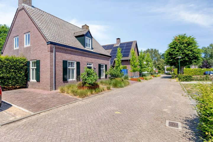 Foto 3 van Lupine 5