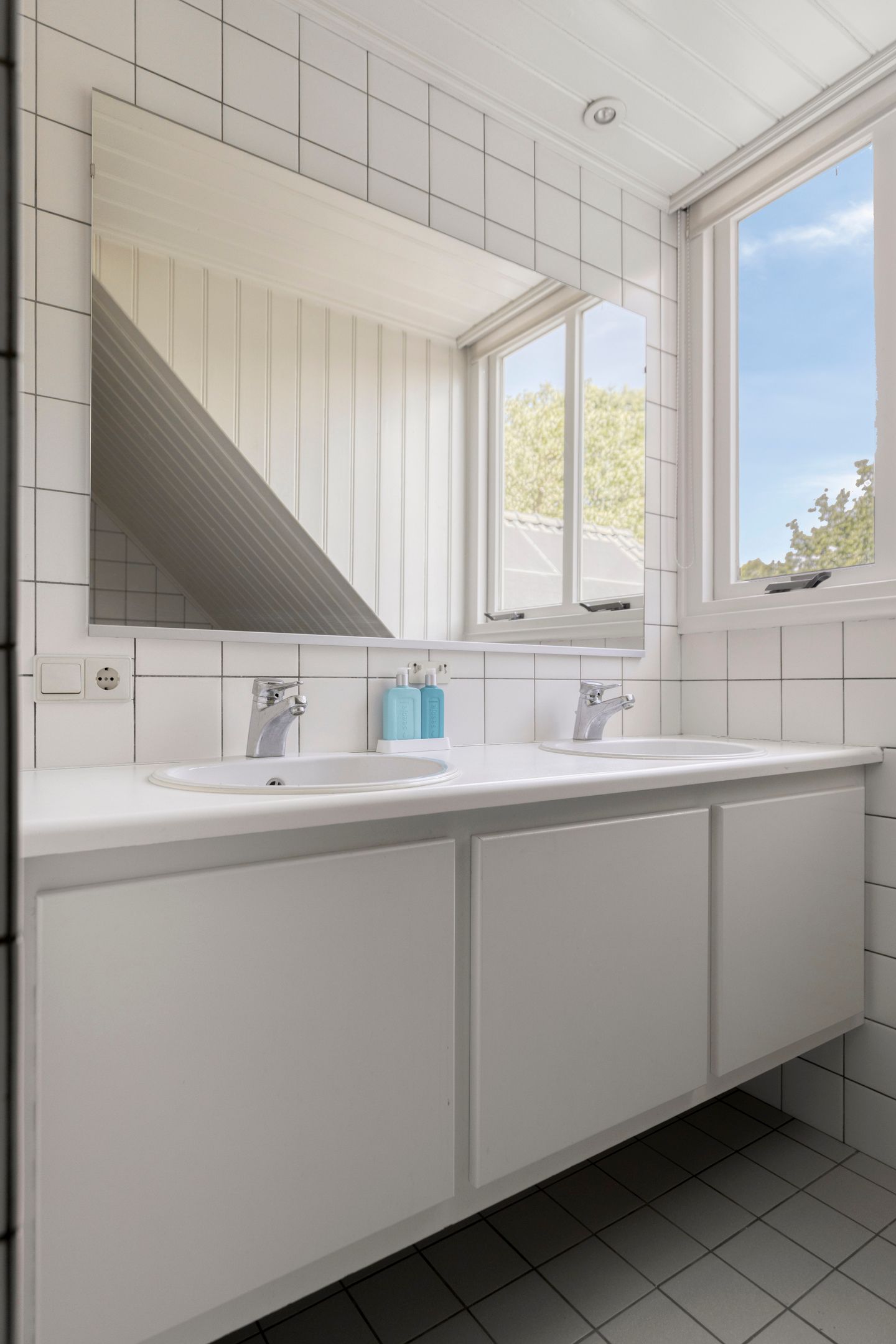 Foto 40 van Lupine 5