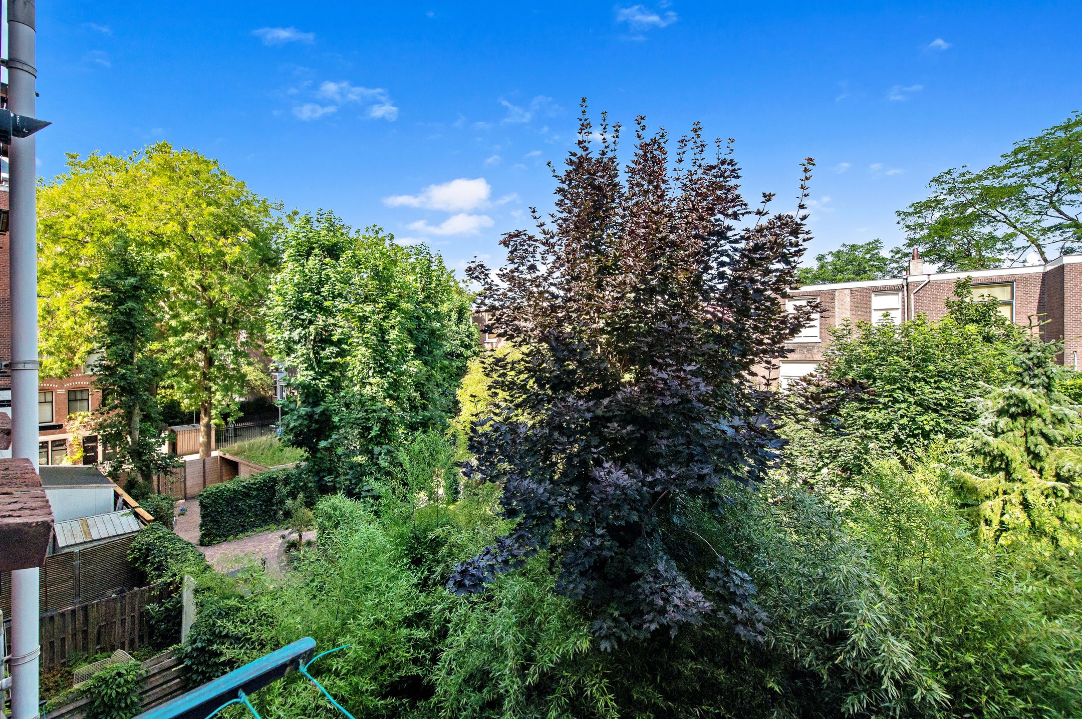 Photo 12 of Waterloostraat 139-B02