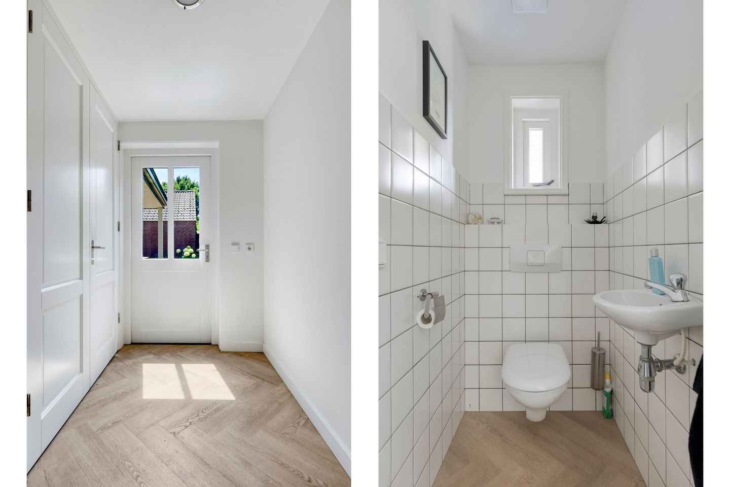 Foto 5 van Lupine 5