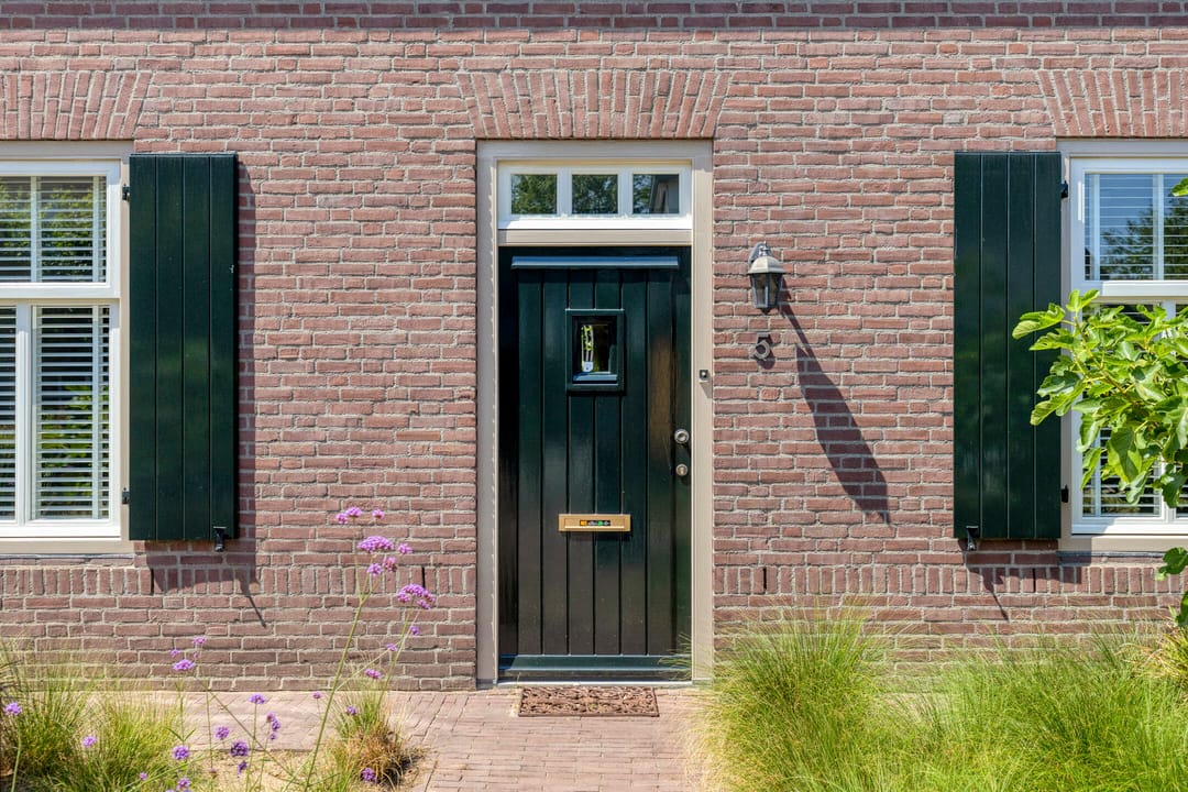 Foto 2 van Lupine 5