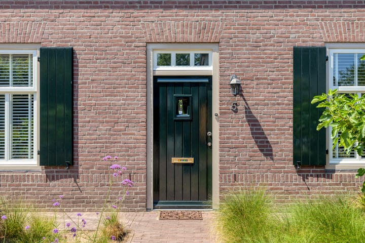Foto 2 van Lupine 5