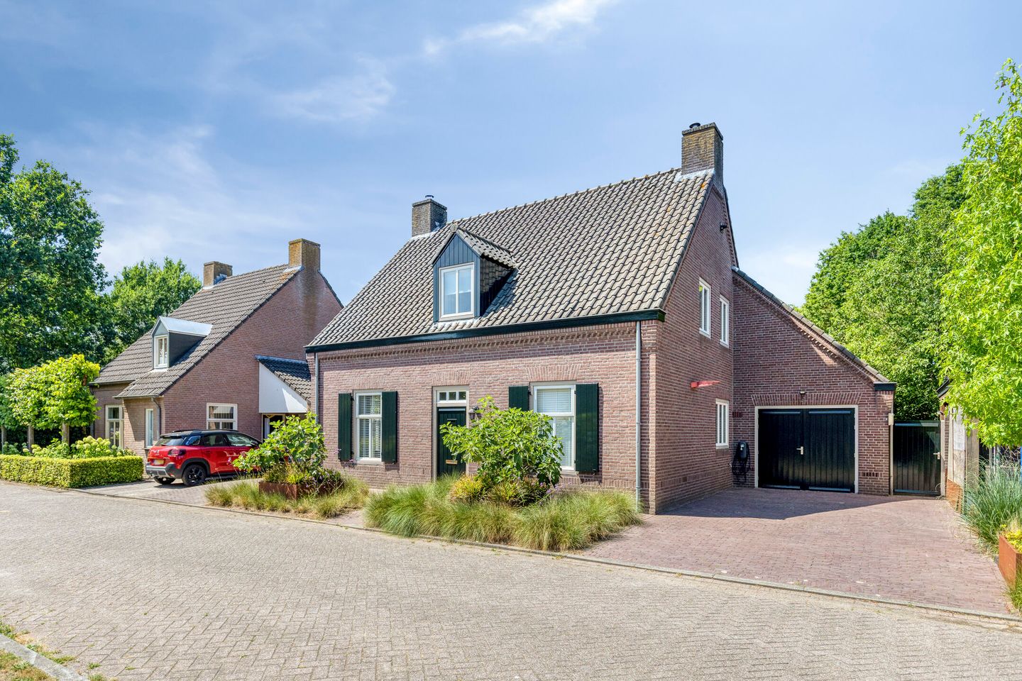 Foto 1 van Lupine 5