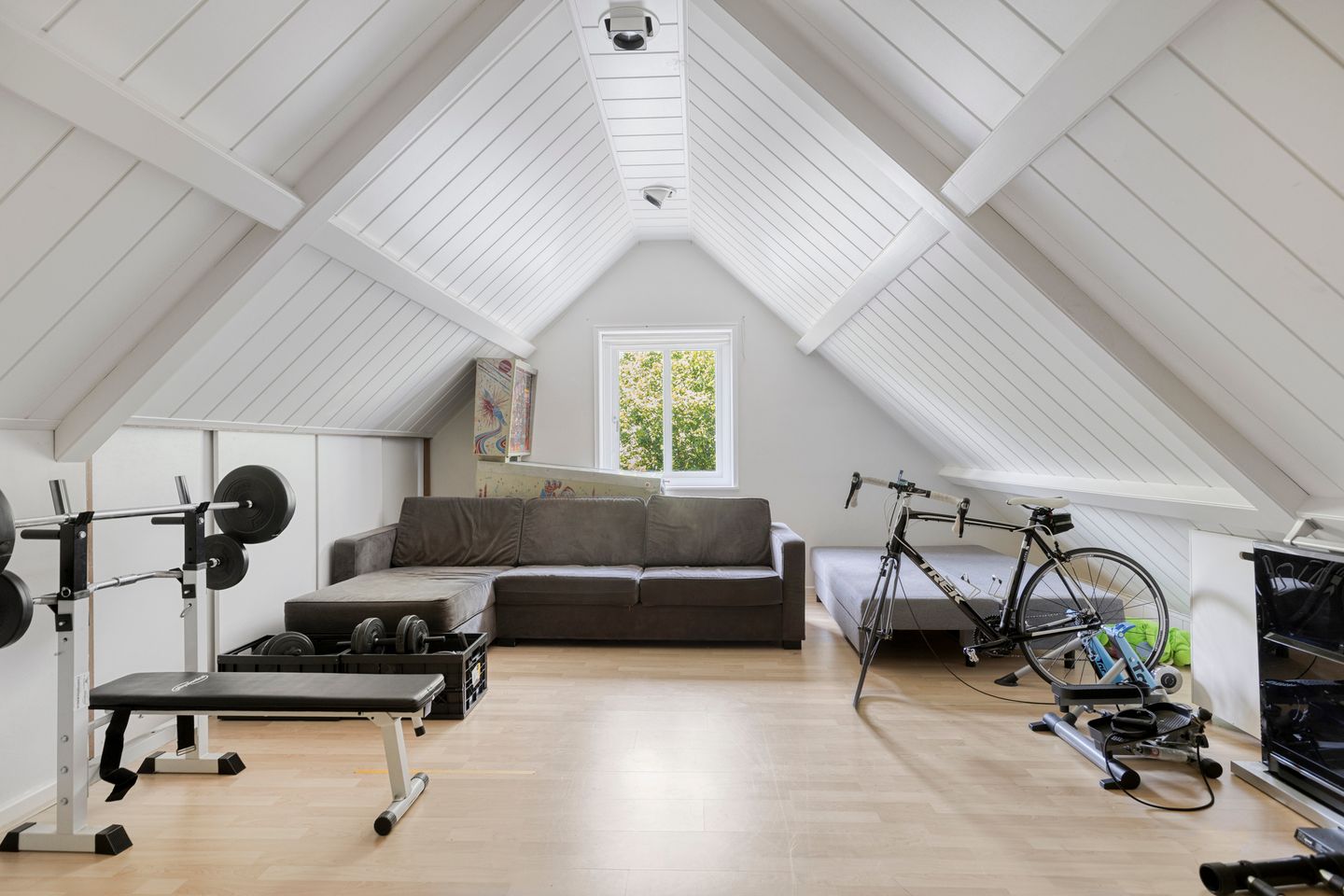 Foto 44 van Lupine 5