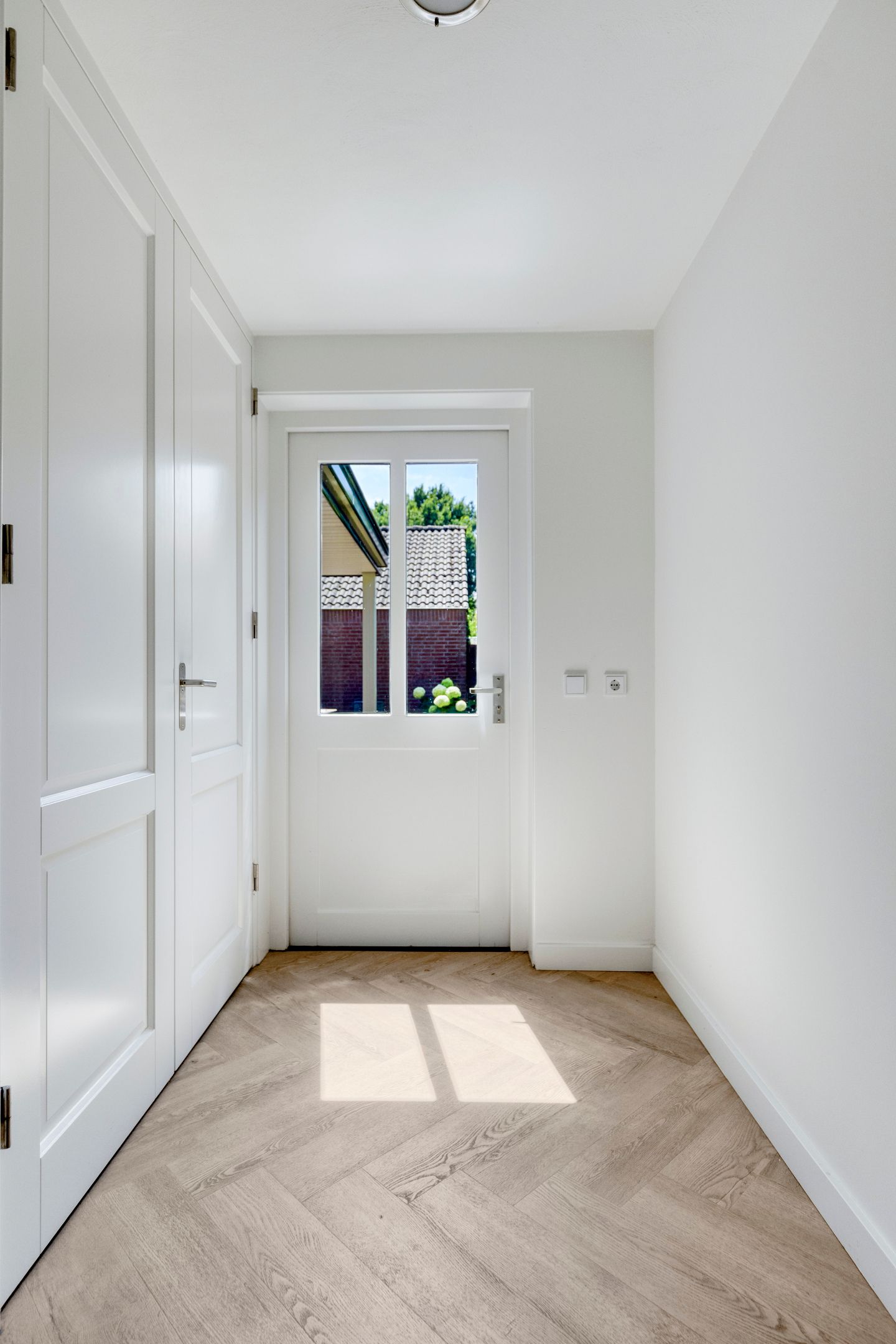 Foto 20 van Lupine 5
