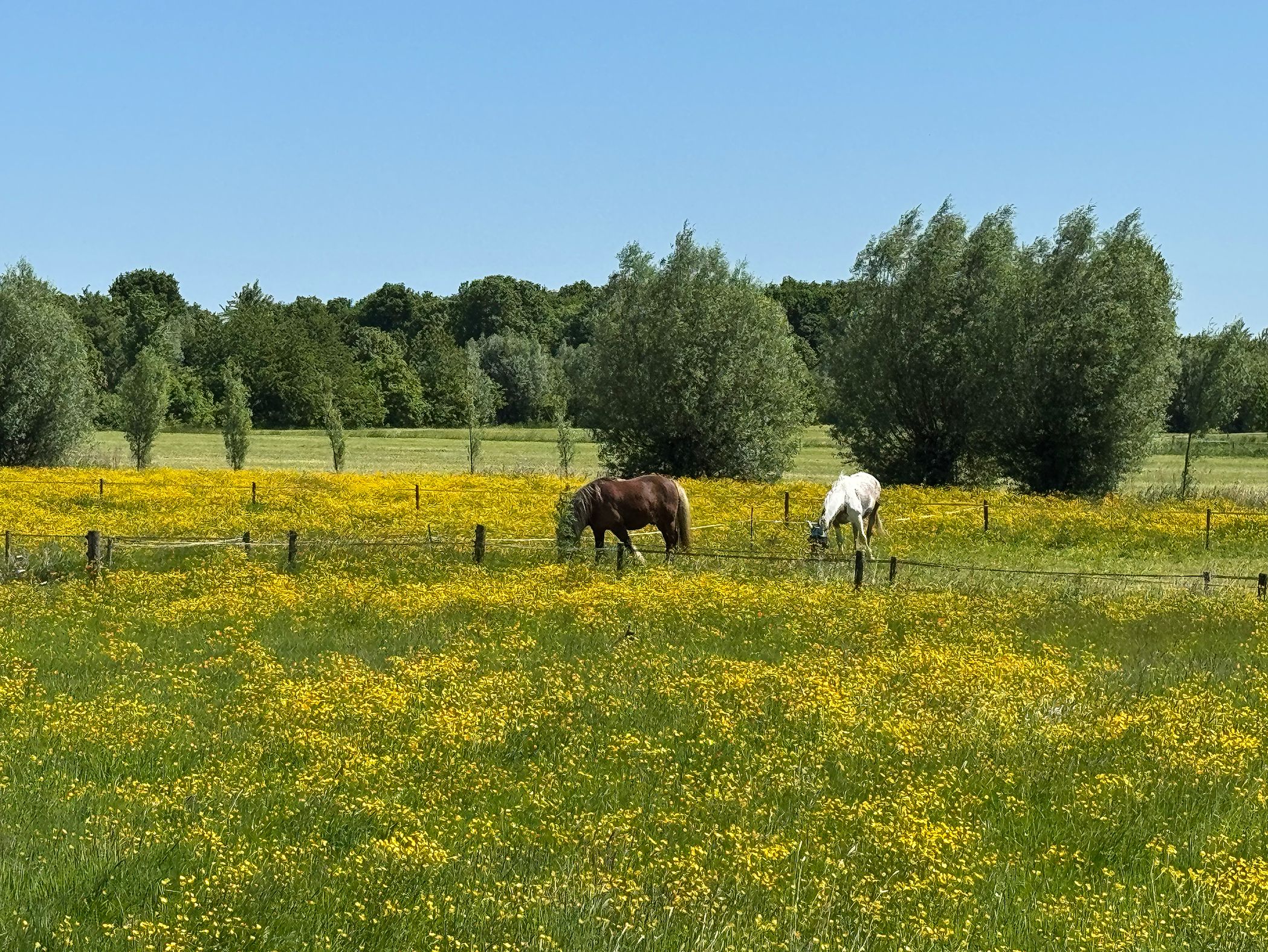Photo 66 of Schellerbergweg 33
