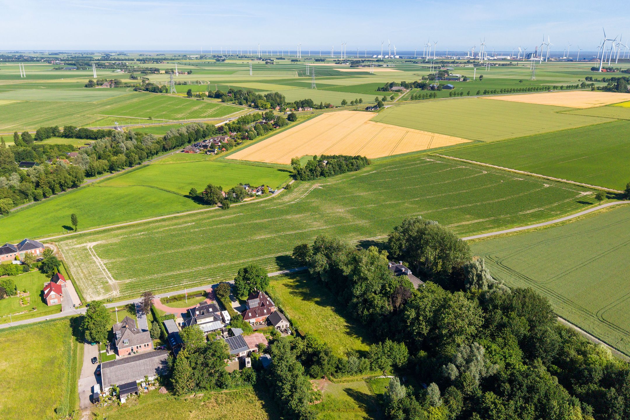studio freehold villa in Spijk (GR) — photo 5 of 5