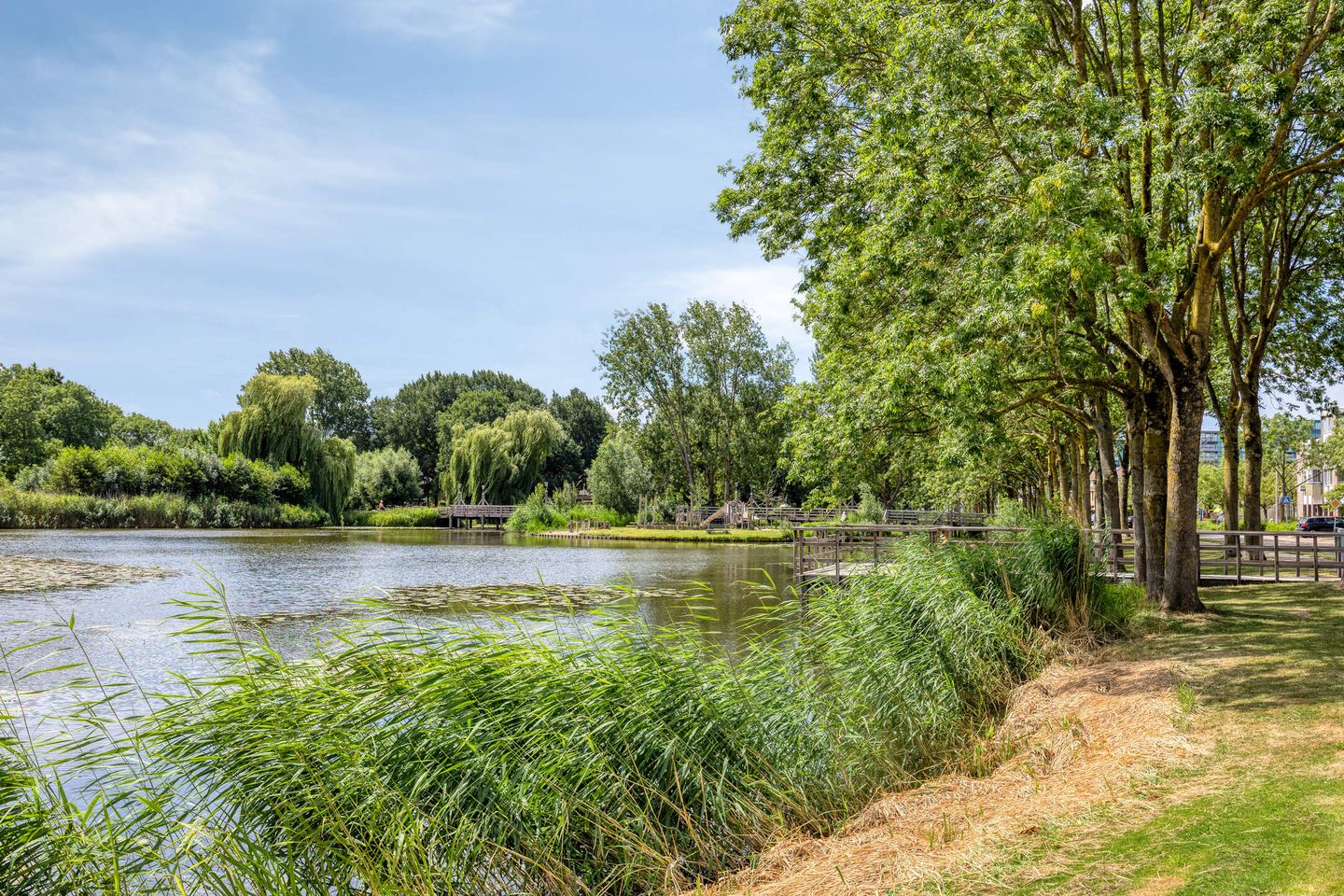 Photo 40 of Begijnhof 3