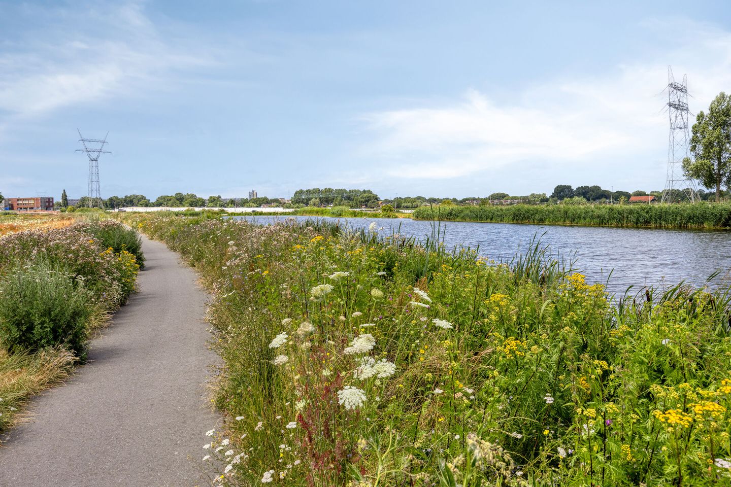 Photo 4 of Begijnhof 3